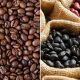 Botanically Speaking: Are Coffee Beans Legumes, Really? | The Ultimate Coffee Guide: Types, Brewing Methods & Best Beans