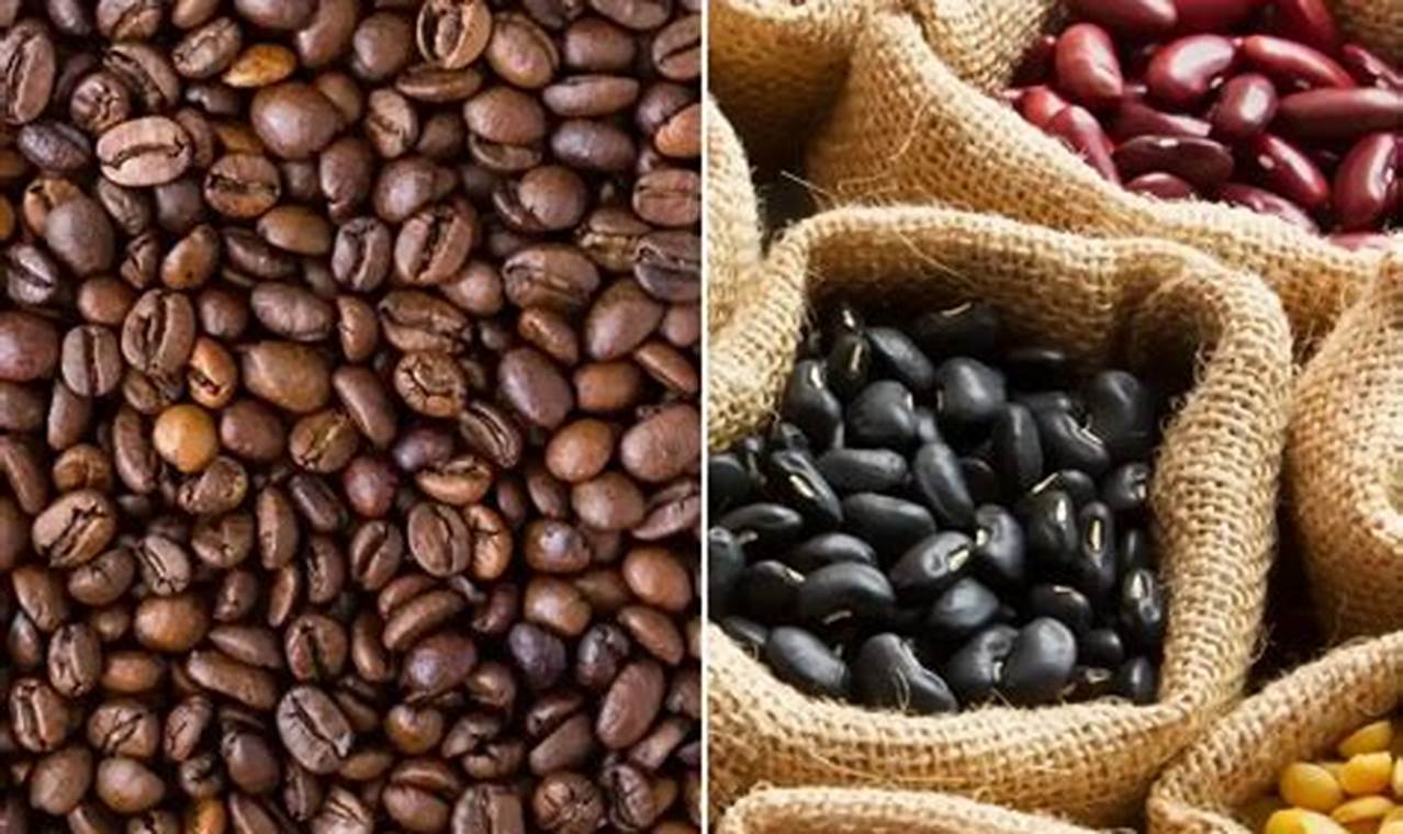 Botanically Speaking: Are Coffee Beans Legumes, Really? The Ultimate Coffee Guide: Types, Brewing Methods & Best Beans Botanically Speaking: Are Coffee Beans Legumes, Really? | The Ultimate Coffee Guide: Types, Brewing Methods & Best Beans