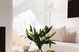 Top Picks: Stylish Accessories for Coffee Table Decor Ideas The Ultimate Coffee Guide: Types, Brewing Methods & Best Beans Top Picks: Stylish Accessories for Coffee Table Decor Ideas | The Ultimate Coffee Guide: Types, Brewing Methods & Best Beans