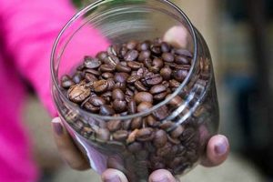 Best Sumatran Coffee Beans: Aromatic Indonesian Delight The Ultimate Coffee Guide: Types, Brewing Methods & Best Beans Best Sumatran Coffee Beans: Aromatic Indonesian Delight | The Ultimate Coffee Guide: Types, Brewing Methods & Best Beans