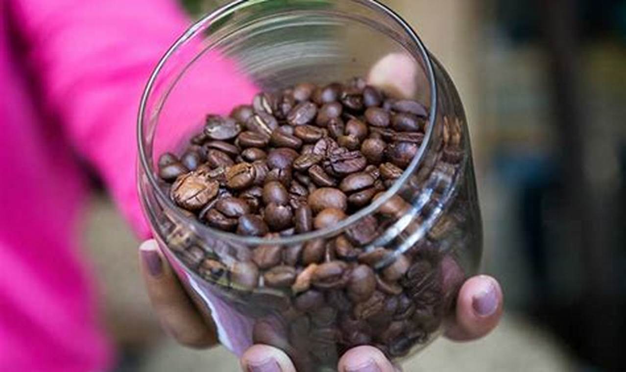 Best Sumatran Coffee Beans: Aromatic Indonesian Delight The Ultimate Coffee Guide: Types, Brewing Methods & Best Beans Best Sumatran Coffee Beans: Aromatic Indonesian Delight | The Ultimate Coffee Guide: Types, Brewing Methods & Best Beans