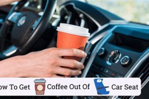 Coffee Stains: How to Get Coffee Out of Car Seat (Easy!) The Ultimate Coffee Guide: Types, Brewing Methods & Best Beans Coffee Stains: How to Get Coffee Out of Car Seat (Easy!) | The Ultimate Coffee Guide: Types, Brewing Methods & Best Beans