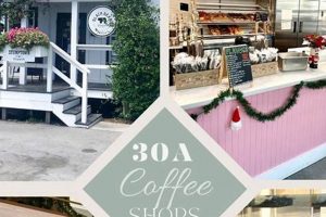 Coffee Shops On 30a The Ultimate Coffee Guide: Types, Brewing Methods & Best Beans Coffee Shops On 30a | The Ultimate Coffee Guide: Types, Brewing Methods & Best Beans