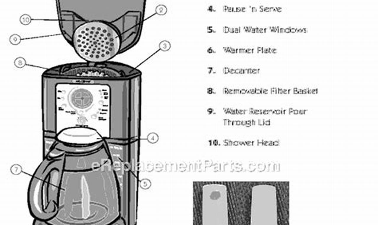 Essential Coffee Brewer Parts: Repair & Brew Better The Ultimate Coffee Guide: Types, Brewing Methods & Best Beans Essential Coffee Brewer Parts: Repair & Brew Better | The Ultimate Coffee Guide: Types, Brewing Methods & Best Beans