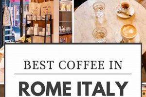 Top-Rated: Best Coffee Shops in Rome [2024 Guide] | The Ultimate Coffee Guide: Types, Brewing Methods & Best Beans