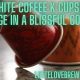 White Coffee K Cups | The Ultimate Coffee Guide: Types, Brewing Methods & Best Beans