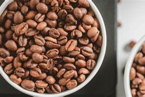 Brew Guide: How Many Coffee Beans in a Perfect Cup? | The Ultimate Coffee Guide: Types, Brewing Methods & Best Beans