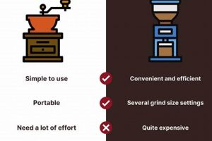Best Coffee Grinder: Manual vs Electric? [2024] | The Ultimate Coffee Guide: Types, Brewing Methods & Best Beans