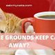 Natural Cat Repellent: Does Coffee Grounds Keep Cats Away? | The Ultimate Coffee Guide: Types, Brewing Methods & Best Beans