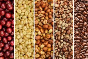 Brew Better: Fresh Bean Coffee, Unmatched Taste The Ultimate Coffee Guide: Types, Brewing Methods & Best Beans Brew Better: Fresh Bean Coffee, Unmatched Taste | The Ultimate Coffee Guide: Types, Brewing Methods & Best Beans
