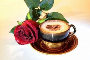 Unlocking Coffee Rose: Aroma's Secrets & More The Ultimate Coffee Guide: Types, Brewing Methods & Best Beans Unlocking Coffee Rose: Aroma's Secrets & More | The Ultimate Coffee Guide: Types, Brewing Methods & Best Beans