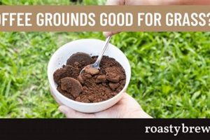 Coffee Grounds on Lawns: Will They Hurt My Lawn? Tips The Ultimate Coffee Guide: Types, Brewing Methods & Best Beans Coffee Grounds on Lawns: Will They Hurt My Lawn? Tips | The Ultimate Coffee Guide: Types, Brewing Methods & Best Beans