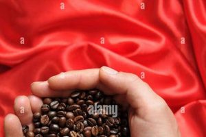 Discover Shining Coffee: Benefits &amp; Secrets! | The Ultimate Coffee Guide: Types, Brewing Methods & Best Beans