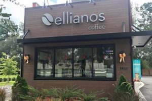 Best Thomasville Coffee Shop: Local Brews & More! | The Ultimate Coffee Guide: Types, Brewing Methods & Best Beans