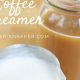 Best Vegan Dry Coffee Creamer: Taste & Beyond! | The Ultimate Coffee Guide: Types, Brewing Methods & Best Beans