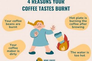 Stop Burnt Coffee: Why Does My Coffee Taste Burnt? | Tips The Ultimate Coffee Guide: Types, Brewing Methods & Best Beans Stop Burnt Coffee: Why Does My Coffee Taste Burnt? | Tips | The Ultimate Coffee Guide: Types, Brewing Methods & Best Beans