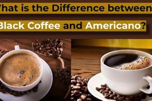 Americano vs. Black Coffee: What's the Real Difference? The Ultimate Coffee Guide: Types, Brewing Methods & Best Beans Americano vs. Black Coffee: What's the Real Difference? | The Ultimate Coffee Guide: Types, Brewing Methods & Best Beans