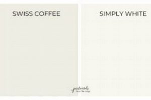 Choosing Swiss Coffee vs Simply White: Paint Guide The Ultimate Coffee Guide: Types, Brewing Methods & Best Beans Choosing Swiss Coffee vs Simply White: Paint Guide | The Ultimate Coffee Guide: Types, Brewing Methods & Best Beans