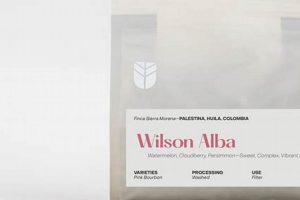 Unlocking Subtext Coffee: The Art of Implied Meaning | The Ultimate Coffee Guide: Types, Brewing Methods & Best Beans