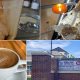 Best Farmington Coffee Shops: Your Local Guide | The Ultimate Coffee Guide: Types, Brewing Methods & Best Beans