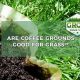 Coffee Grounds: Are They Good for Your Lawn? Guide | The Ultimate Coffee Guide: Types, Brewing Methods & Best Beans