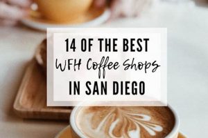 Best Coffee Shops to Study in San Diego (Quiet &amp; Free WiFi) | The Ultimate Coffee Guide: Types, Brewing Methods & Best Beans