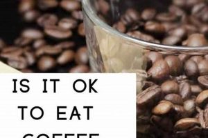 Coffee Beans: Is It Okay to Eat Them? [Risks & Benefits] | The Ultimate Coffee Guide: Types, Brewing Methods & Best Beans
