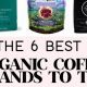 Discover the Best Organic Coffee: Taste & Benefits | The Ultimate Coffee Guide: Types, Brewing Methods & Best Beans