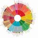 Get Clear: Coffee Flavor Wheel High Resolution Guide | The Ultimate Coffee Guide: Types, Brewing Methods & Best Beans