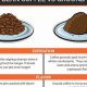 Beans vs Ground Coffee: Which Brew is Best? | The Ultimate Coffee Guide: Types, Brewing Methods & Best Beans