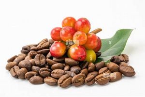 Unlocking Fruity Coffee Beans: A Flavorful Guide The Ultimate Coffee Guide: Types, Brewing Methods & Best Beans Unlocking Fruity Coffee Beans: A Flavorful Guide | The Ultimate Coffee Guide: Types, Brewing Methods & Best Beans