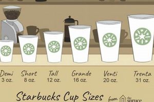 Guide to Coffee Drink Sizes: Choose Your Perfect Cup! The Ultimate Coffee Guide: Types, Brewing Methods & Best Beans Guide to Coffee Drink Sizes: Choose Your Perfect Cup! | The Ultimate Coffee Guide: Types, Brewing Methods & Best Beans