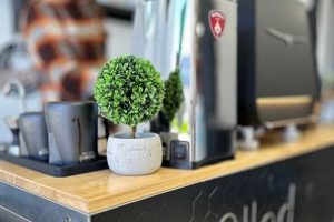 Your Fulfilled Coffee Lab: Quality & Analysis The Ultimate Coffee Guide: Types, Brewing Methods & Best Beans Your Fulfilled Coffee Lab: Quality & Analysis | The Ultimate Coffee Guide: Types, Brewing Methods & Best Beans