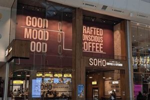 Best Coffee Shops in Westfield: Brews &amp; More | The Ultimate Coffee Guide: Types, Brewing Methods & Best Beans