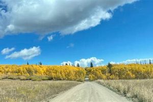 Explore Coffee Pot Road Colorado: A Scenic Gem The Ultimate Coffee Guide: Types, Brewing Methods & Best Beans Explore Coffee Pot Road Colorado: A Scenic Gem | The Ultimate Coffee Guide: Types, Brewing Methods & Best Beans