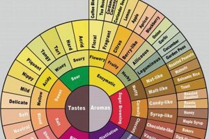 Coffee Words: Descriptors to Describe Coffee Taste & More The Ultimate Coffee Guide: Types, Brewing Methods & Best Beans Coffee Words: Descriptors to Describe Coffee Taste & More | The Ultimate Coffee Guide: Types, Brewing Methods & Best Beans