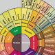 Coffee Words: Descriptors to Describe Coffee Taste &amp; More | The Ultimate Coffee Guide: Types, Brewing Methods & Best Beans
