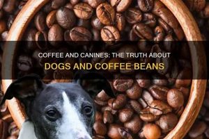 Are Coffee Beans Bad? Can Dogs Have Coffee Beans? The Ultimate Coffee Guide: Types, Brewing Methods & Best Beans Are Coffee Beans Bad? Can Dogs Have Coffee Beans? | The Ultimate Coffee Guide: Types, Brewing Methods & Best Beans