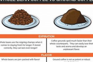 Bean or Ground? Coffee Beans vs Ground Coffee: Freshness Showdown | The Ultimate Coffee Guide: Types, Brewing Methods & Best Beans