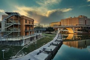 Discover the Sunset Coffee Building: Info & More | The Ultimate Coffee Guide: Types, Brewing Methods & Best Beans