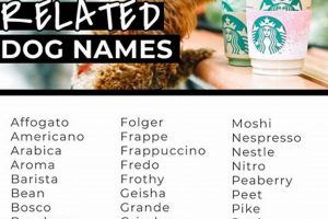 Brew-tiful Coffee Dog Names: The Ultimate List for Coffee Lovers The Ultimate Coffee Guide: Types, Brewing Methods & Best Beans Brew-tiful Coffee Dog Names: The Ultimate List for Coffee Lovers | The Ultimate Coffee Guide: Types, Brewing Methods & Best Beans