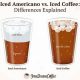 Iced Coffee vs Americano: Cold Coffee Ice Showdown | The Ultimate Coffee Guide: Types, Brewing Methods & Best Beans