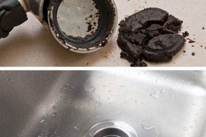 Coffee Grounds & Garbage Disposal: Safe Use & Tips! The Ultimate Coffee Guide: Types, Brewing Methods & Best Beans Coffee Grounds & Garbage Disposal: Safe Use & Tips! | The Ultimate Coffee Guide: Types, Brewing Methods & Best Beans