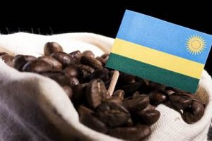 Discover Rwandan Coffee: Flavor, Aroma & Origin | The Ultimate Coffee Guide: Types, Brewing Methods & Best Beans