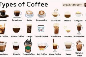 The Ultimate PBR Hard Coffee Guide: Is It Worth It? | The Ultimate Coffee Guide: Types, Brewing Methods & Best Beans