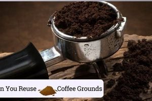 Reusing Coffee Grounds: How Many Brews Are Too Many? The Ultimate Coffee Guide: Types, Brewing Methods & Best Beans Reusing Coffee Grounds: How Many Brews Are Too Many? | The Ultimate Coffee Guide: Types, Brewing Methods & Best Beans