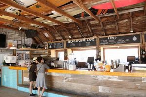 Best Coffee Shops Montauk NY: Caffeine Fixes & More The Ultimate Coffee Guide: Types, Brewing Methods & Best Beans Best Coffee Shops Montauk NY: Caffeine Fixes & More | The Ultimate Coffee Guide: Types, Brewing Methods & Best Beans