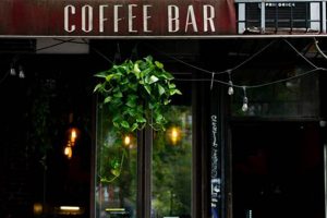 Your Guide: Lower East Side Coffee Shop New York, NY (Best!) | The Ultimate Coffee Guide: Types, Brewing Methods & Best Beans