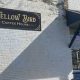 Your Guide to Yellow Bird Coffee House Near You | The Ultimate Coffee Guide: Types, Brewing Methods & Best Beans