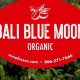 Discover Bali Blue Moon Green Coffee Beans - [Roast & Brew] | The Ultimate Coffee Guide: Types, Brewing Methods & Best Beans